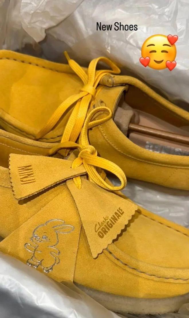 ！Rihanna、NewJeans联名款释出AG旗舰厅网Lisa、王嘉尔加持LV潮鞋出圈(图9)